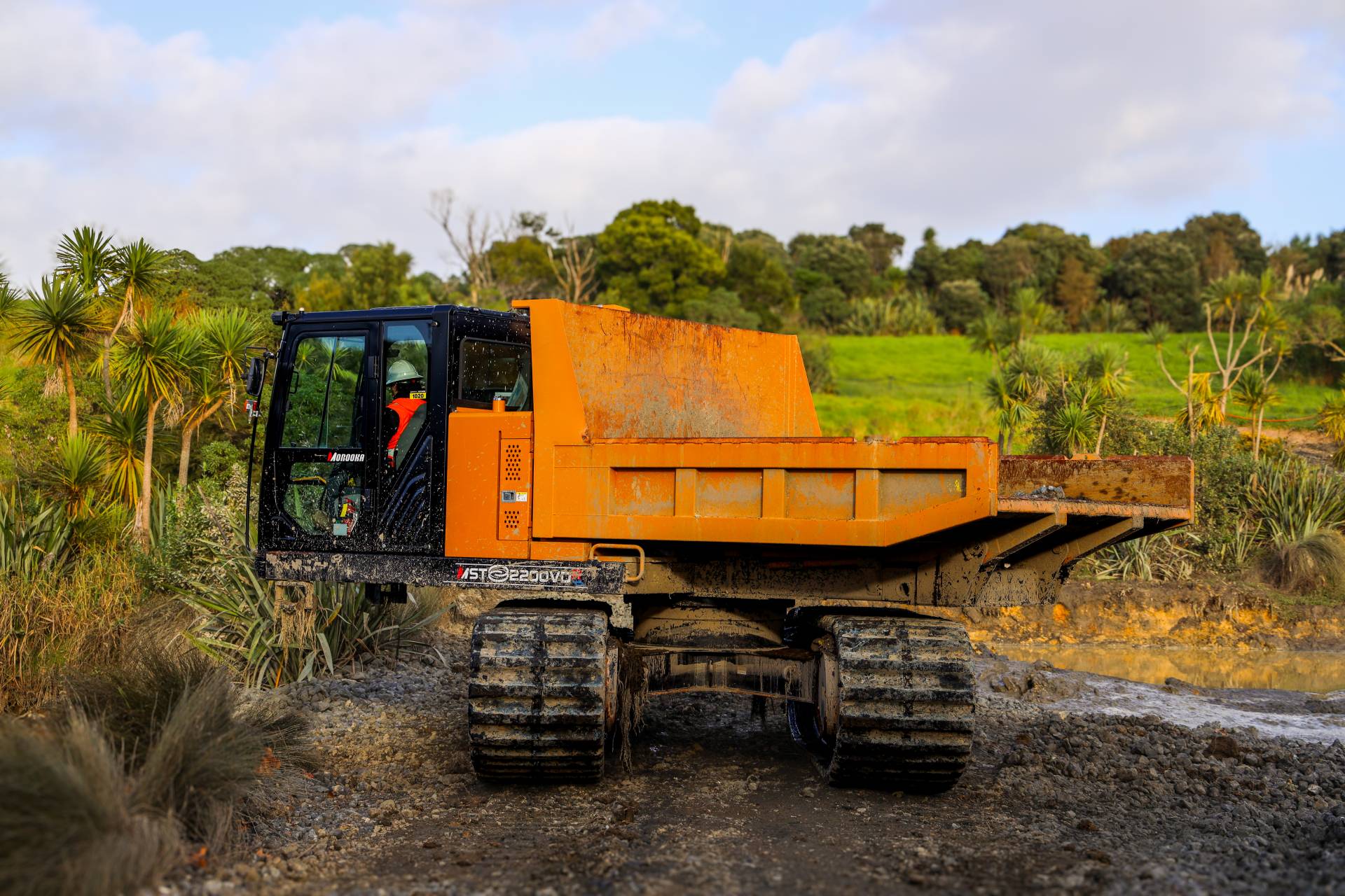 11 ton tracked swivel dumper rear view.jpg